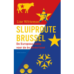 Sluiproute Brussel