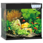 Juwel Aquarium Lido 120 Led 61x41x58 cm - Aquaria - Ca. 120 L - Zwart